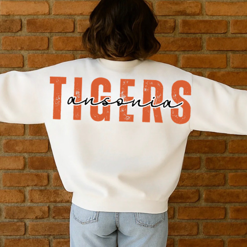 School Spirit - Tigers